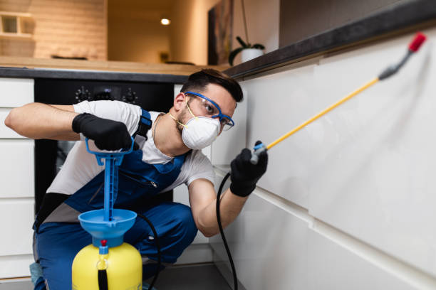 Trusted Prairie Grove, IL Pest Control Experts