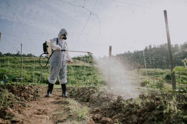 Best Pest Prevention Services  in Prairie Grove, IL