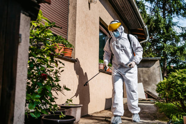 Best Affordable Pest Control Services  in Prairie Grove, IL