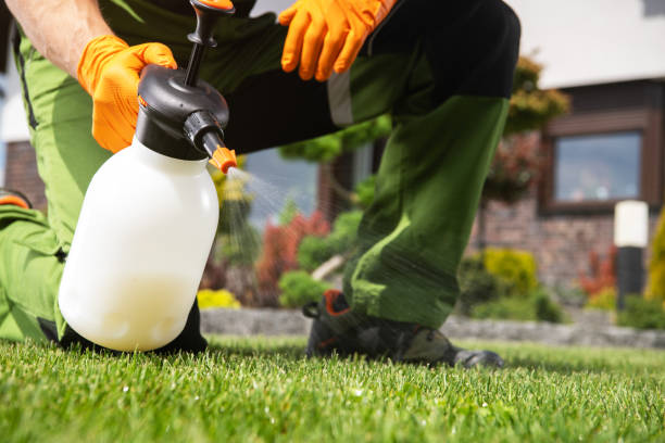 Best Pest Control Near Me  in Prairie Grove, IL
